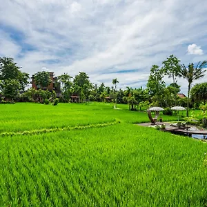 Kajane Yangloni At Bali Holiday park